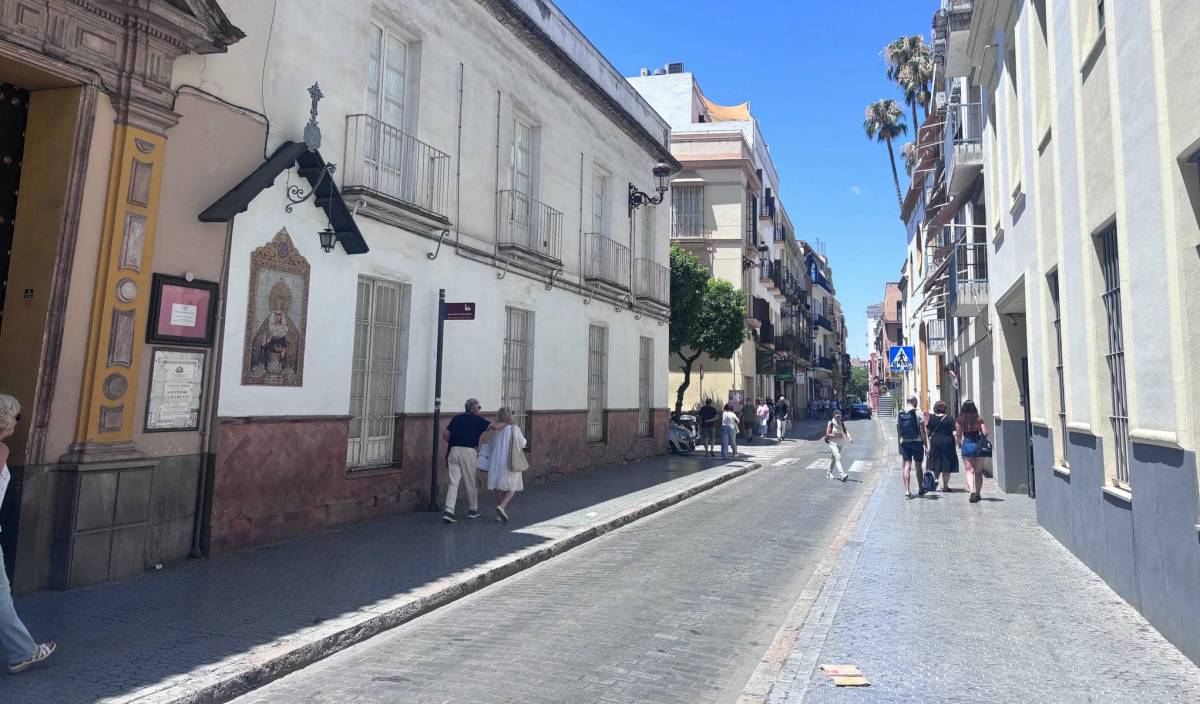 El PSOE denuncia que Sevilla tiene menos sombra pese al contrato de 1,7 millones - El PSOE denuncia que Sevilla tiene menos sombra pese al contrato de 1,7 millones