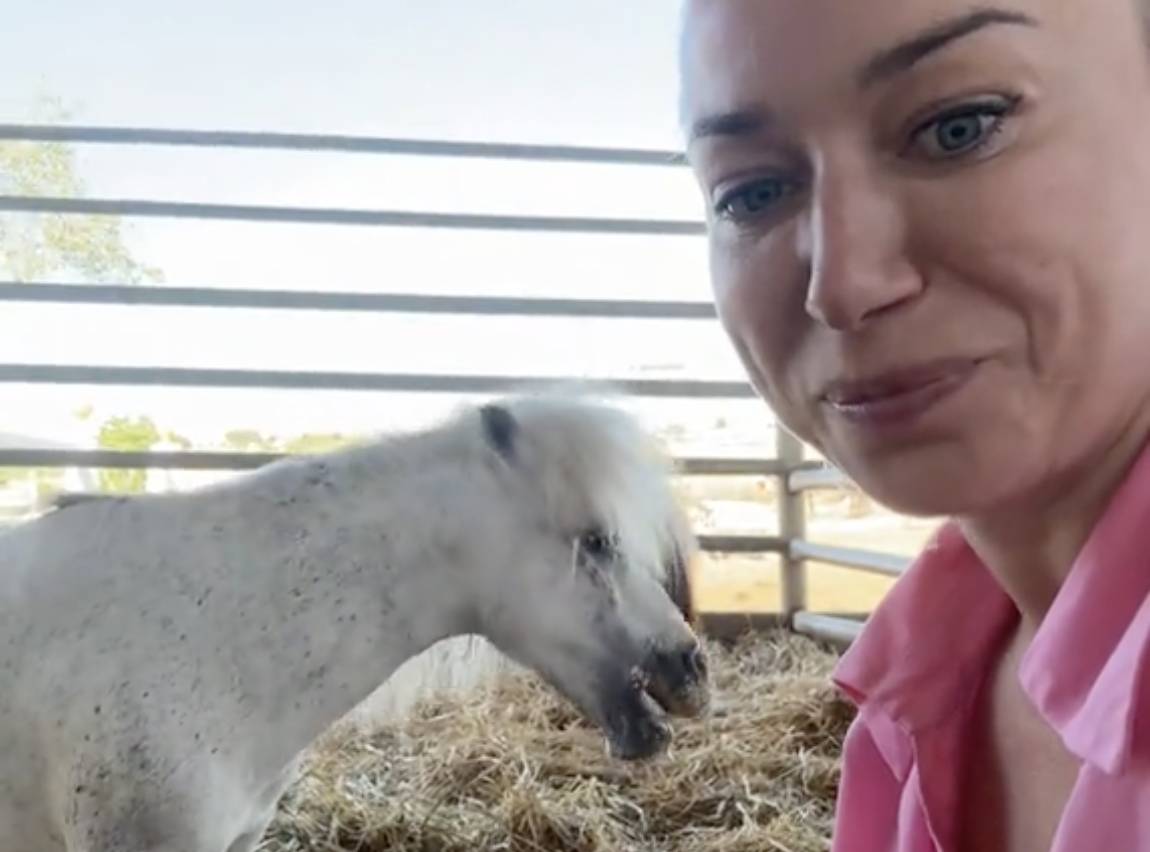 Vuelve a casa Ciciu, el poni secuestrado por el que su dueña ofrecía 50.000 euros: "Una película con 'happy end'"