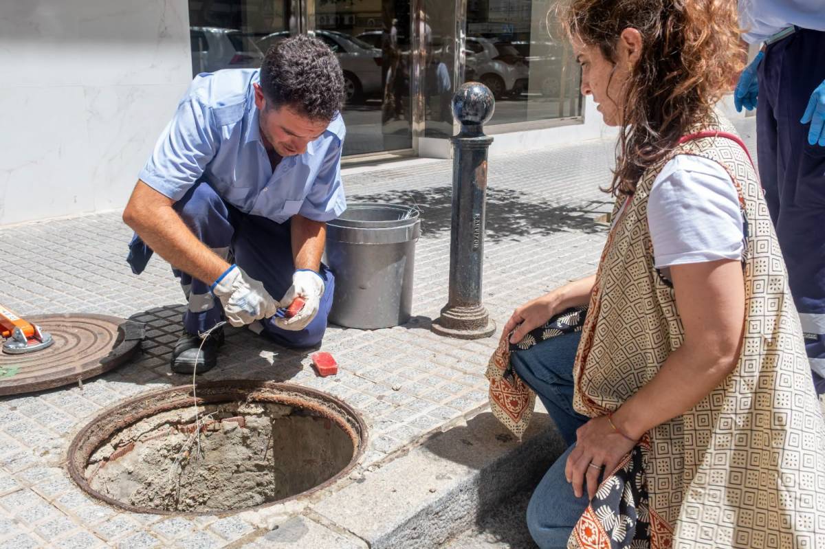 Cádiz realiza inspecciones en 62 puntos críticos donde se concentran mosquitos 