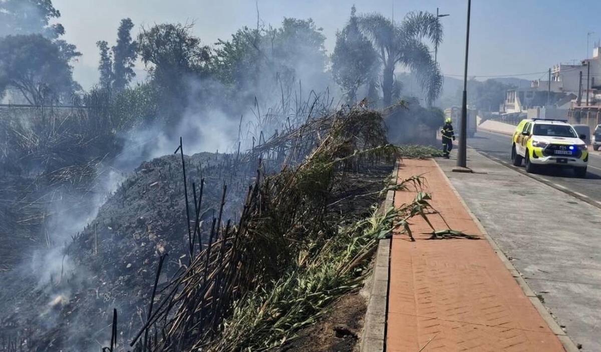 Un incendio de cañaveral y monte bajo amenaza a viviendas en San Roque: bomberos e Infoca controlan la propagación