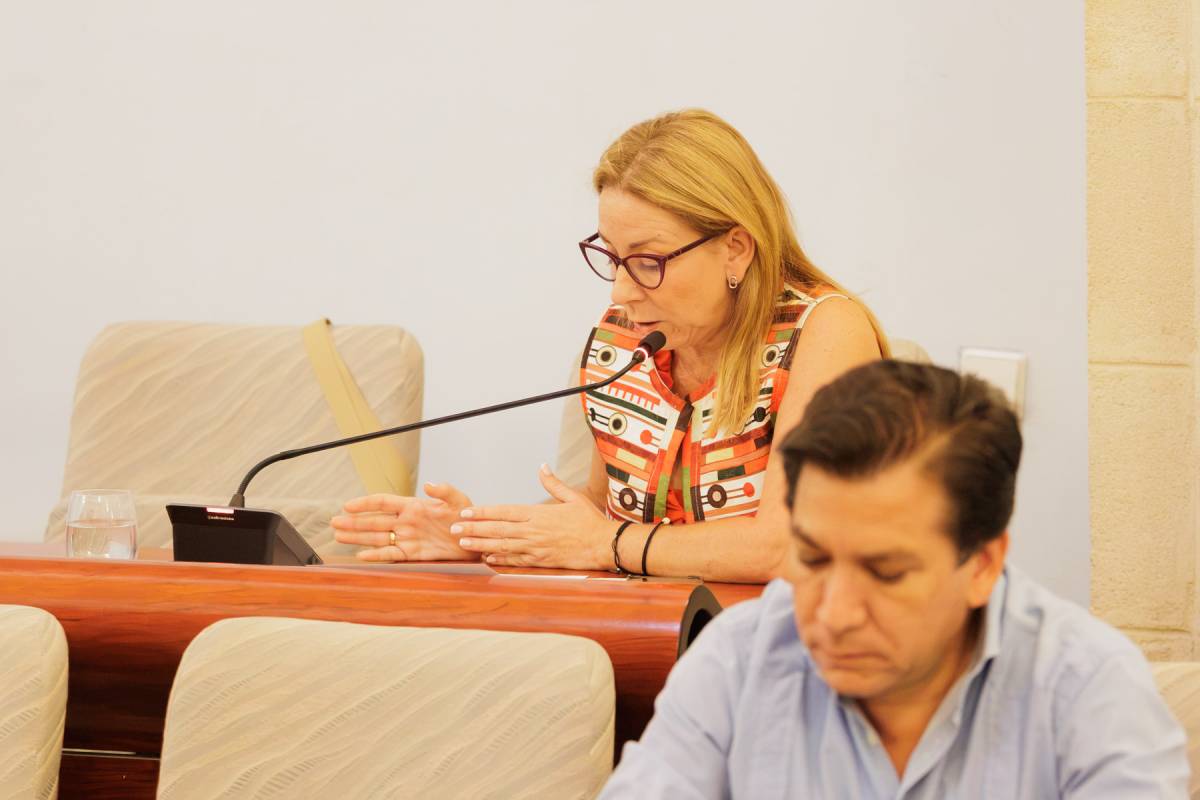 PLENO EXTRAORDINARIO 2 JULIO 2026
