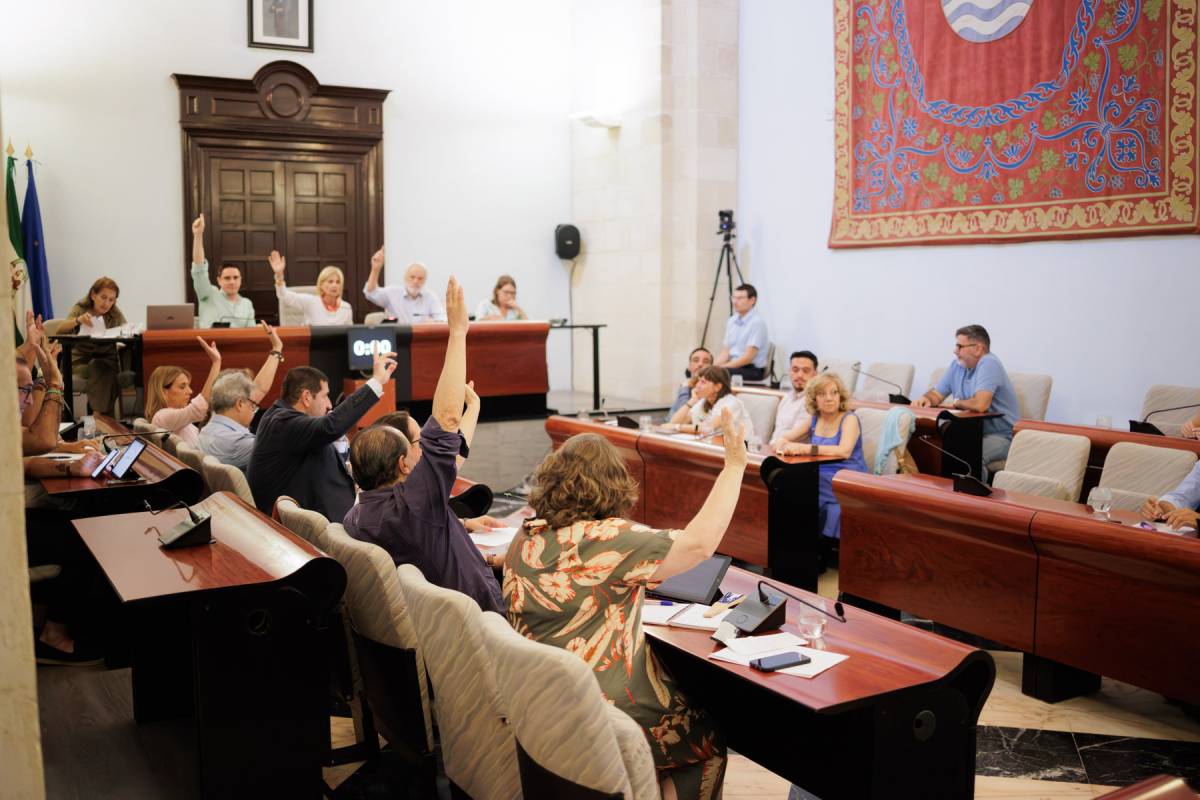 PLENO EXTRAORDINARIO 2 JULIO 2026