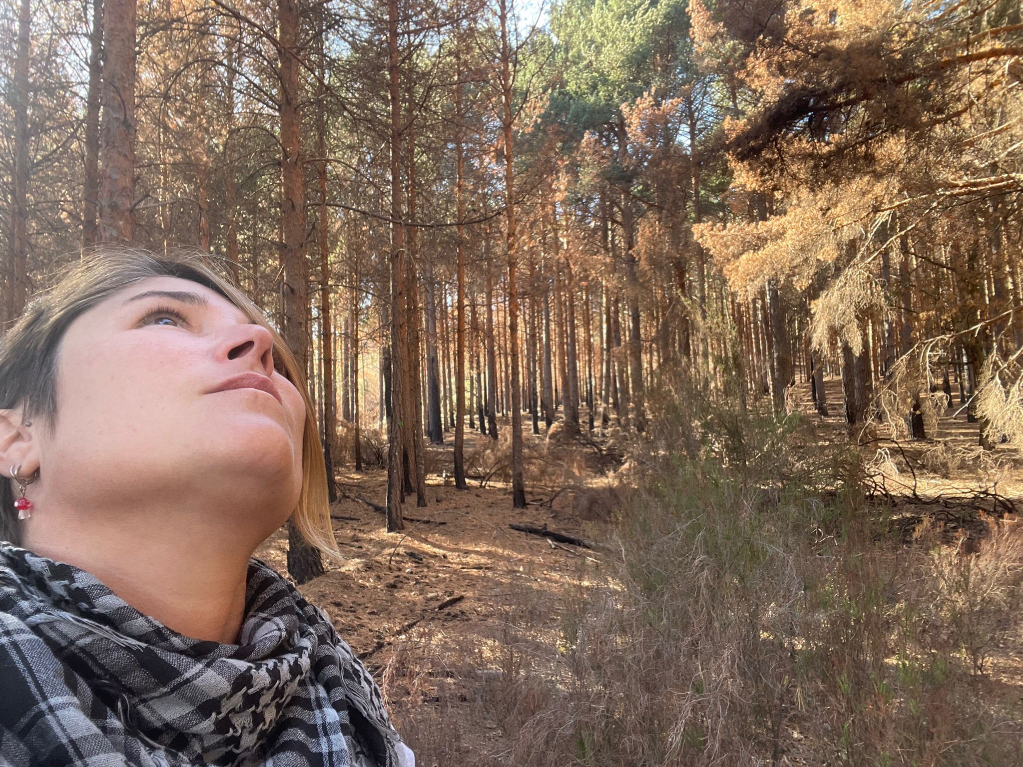 Nazaret Mateos, en el bosque. - 