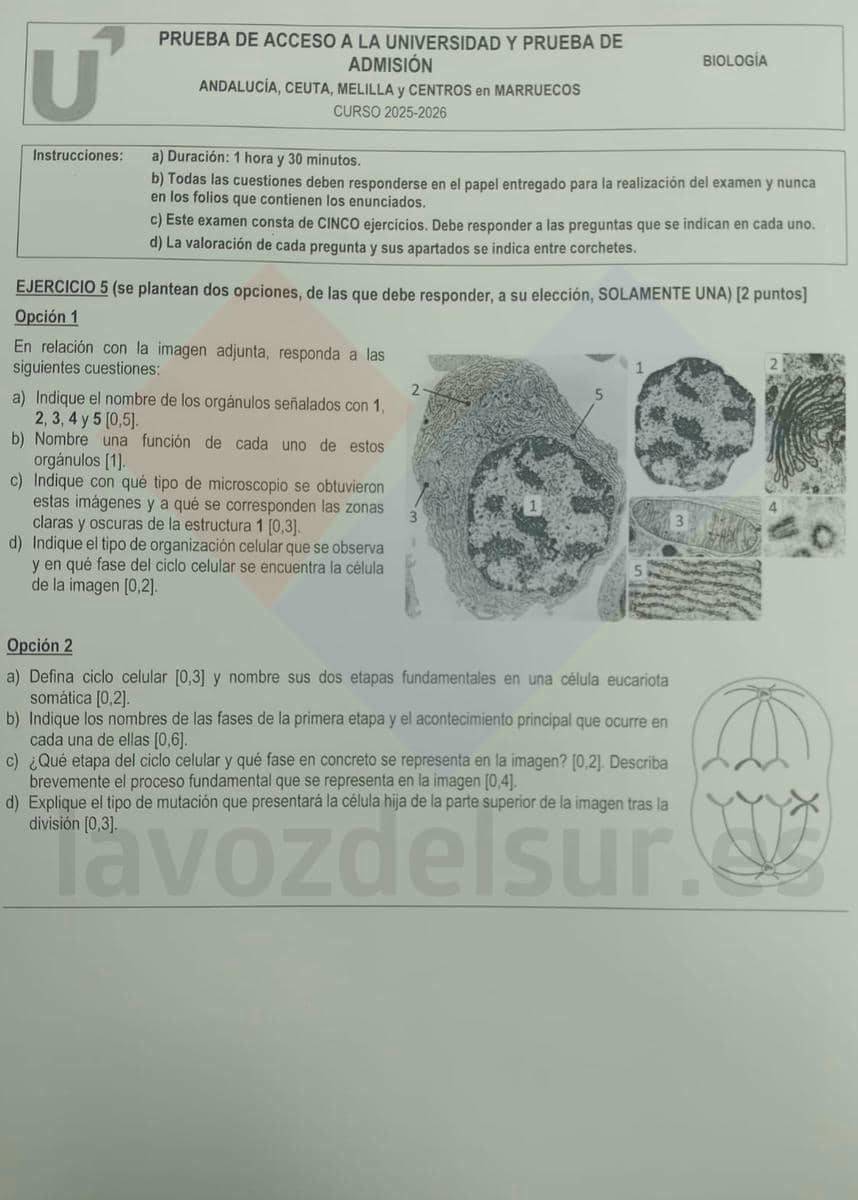 examen PAU 2026 extraordinaria Biología Andalucía