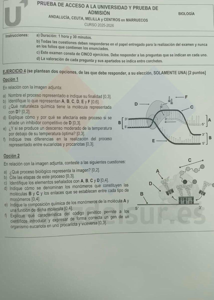 examen PAU 2026 extraordinaria Biología Andalucía