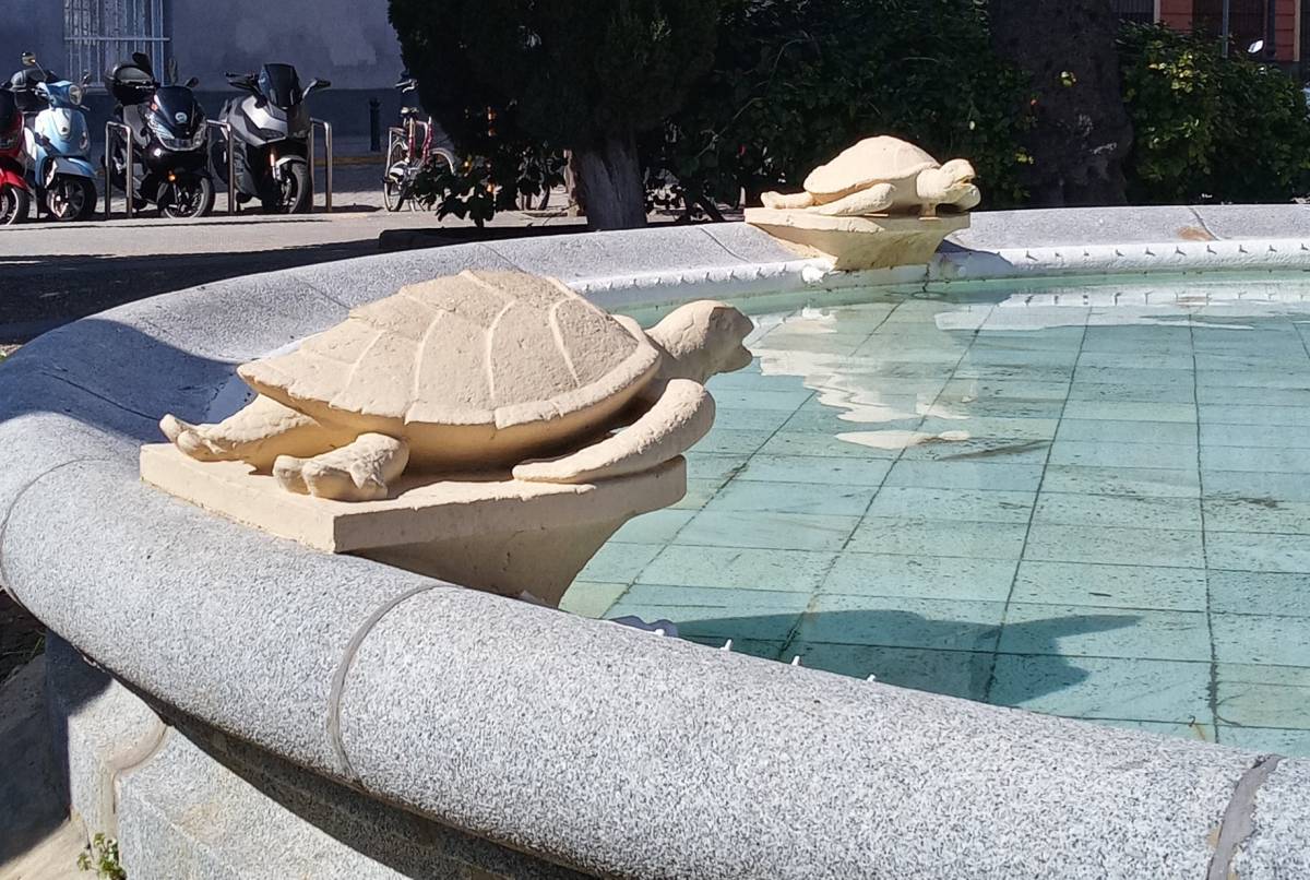 Fuente de las Tortugas, detalle tortugas. - Fuente de las Tortugas, detalle tortugas.