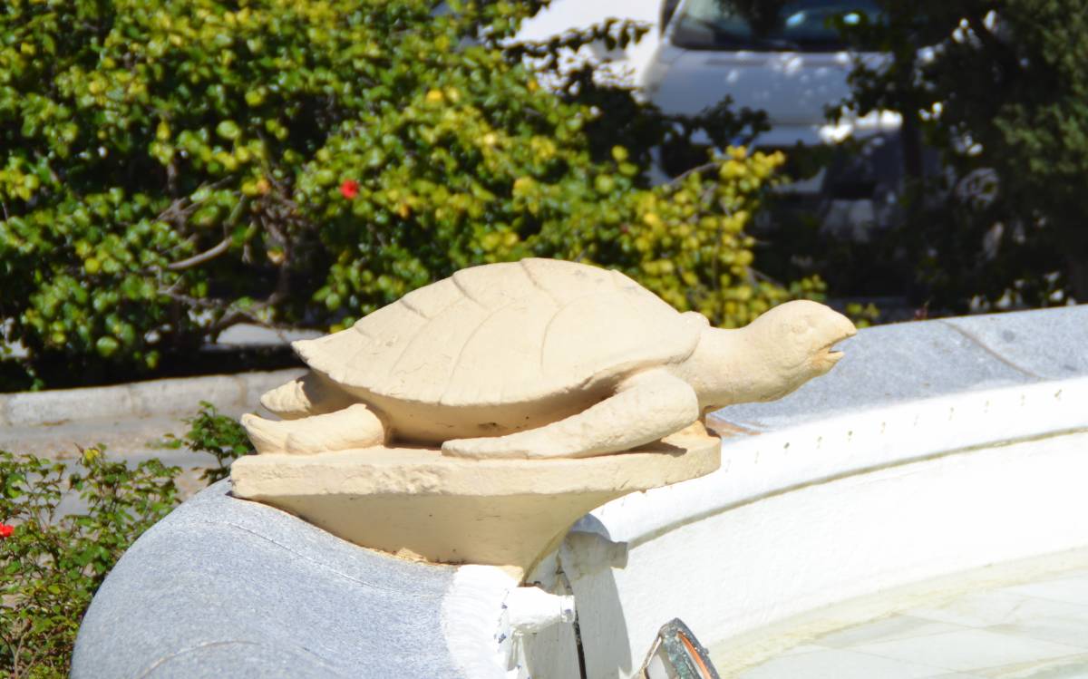 Fuente de las Tortugas, detalle de una tortuga. - Fuente de las Tortugas, detalle de una tortuga.