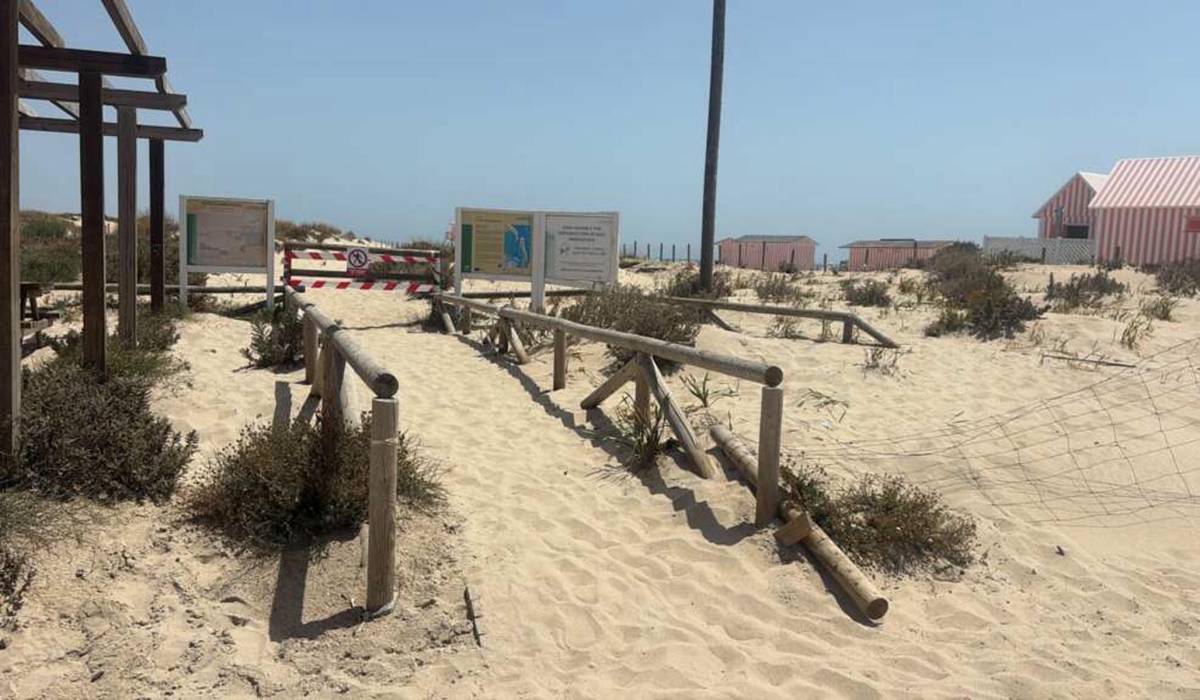 La playa canina de San Fernando: luz verde a un acceso 'provisional' mientras se repara el sendero de Punta del Boquerón