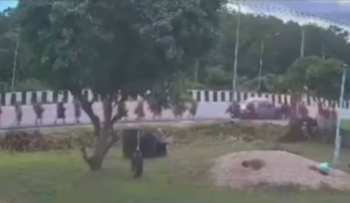 Tragedia en Tailandia: un niño de 11 años mata a diez monjes budistas al atropellarlos con una camioneta