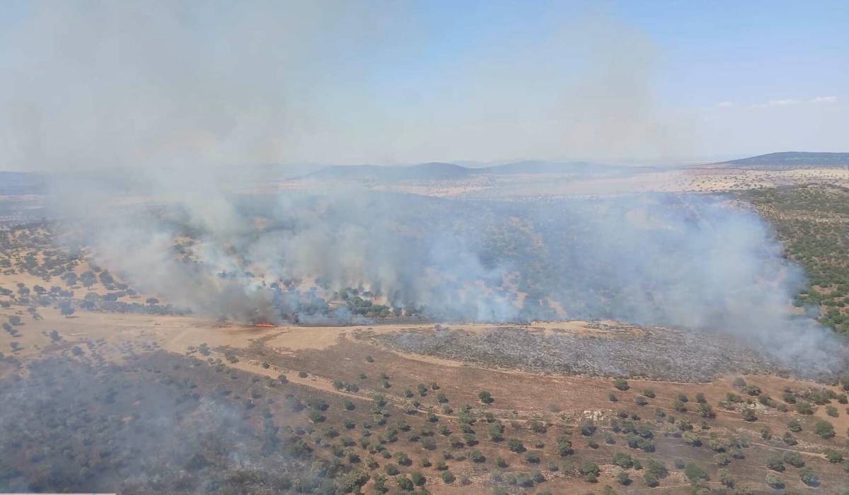 Andalucía, pendiente de cinco incendios activos ante la llegada de la segunda ola de calor