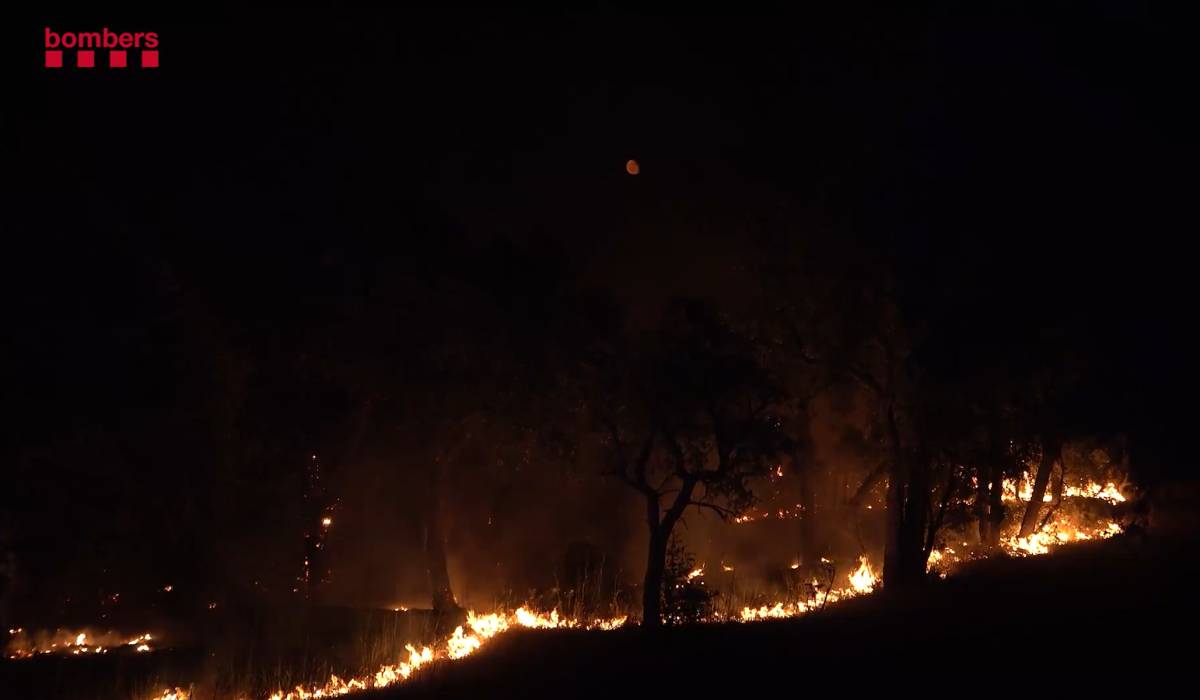 Imágenes del incendio en Girona - Imágenes del incendio en Girona