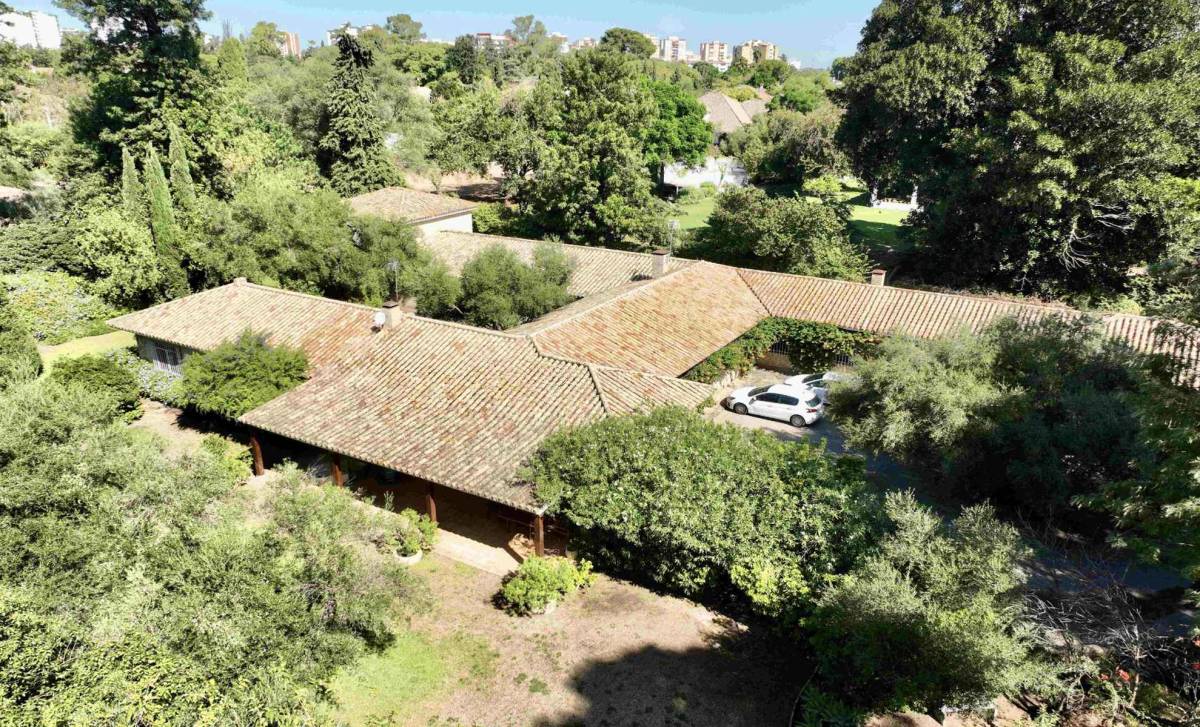Esto cuesta en Jerez una parcela de más de 3.000 metros con chalé frente a la Plaza del Caballo