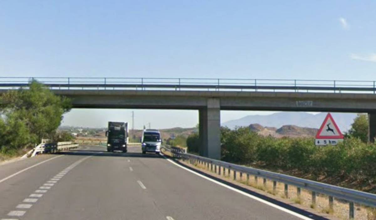 Muere atropellada una mujer en plena carretera y de madrugada en Málaga