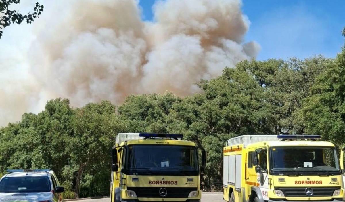 Bomberos trabajan en el incendio forestal declarado en Grazalema antes de las 14:00 horas - Bomberos trabajan en el incendio forestal declarado en Grazalema antes de las 14:00 horas