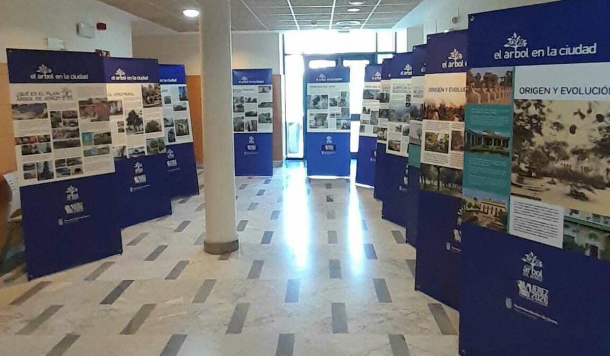 Poner en valor de 'El árbol de la ciudad' desde el Centro Social la Granja en Jerez