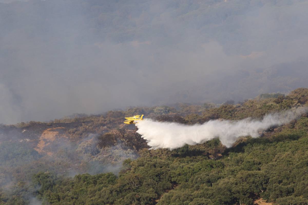 Estas son las zonas con más riesgo de incendios en los próximos días, según la Aemet