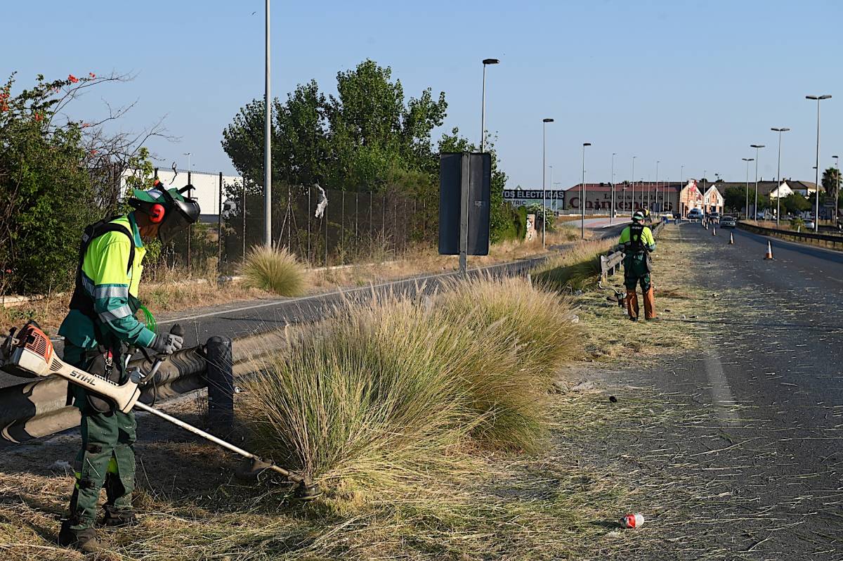 Jerez acelera los desbroces contra los incendios en la Circunvalación, aunque no evitan un susto en el cruce con carretera del Calvario