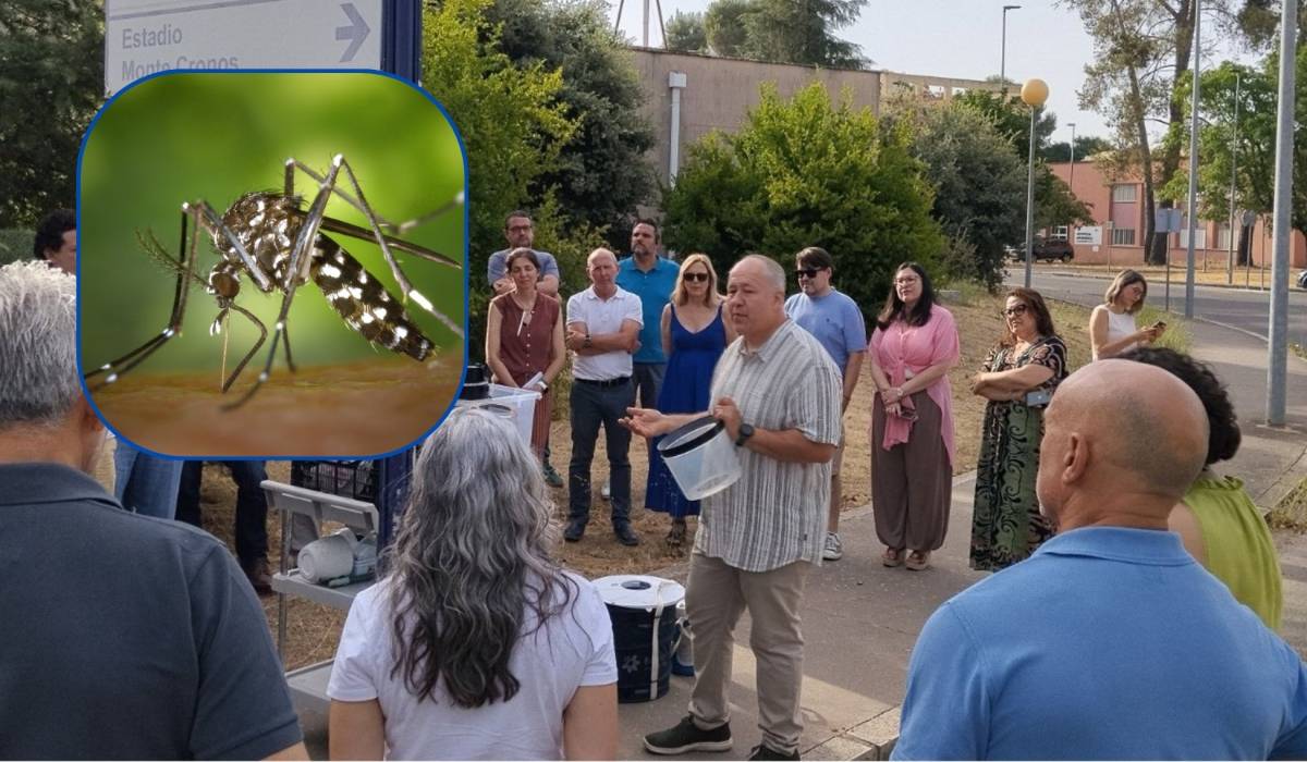 Andalucía entrena a 110 agentes de Salud Pública para cazar al mosquito tigre: así funciona la vigilancia contra el dengue, el chikunguña y el zika