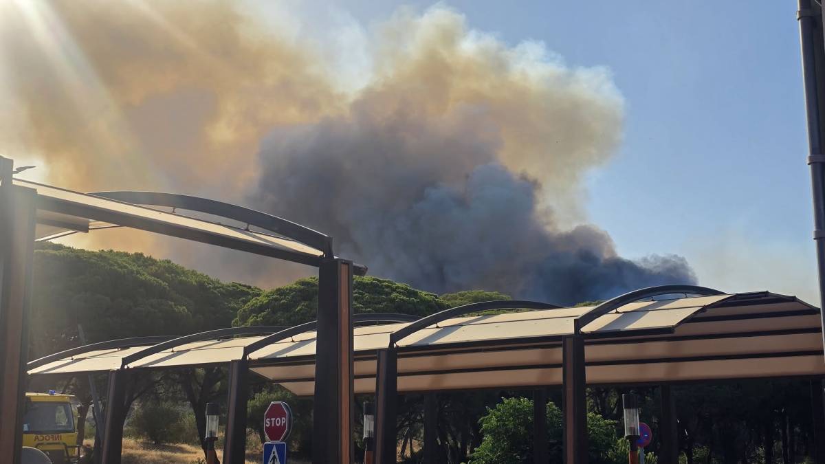 El fuego, alrededor de una parte del pueblo de Barbate: el Ayuntamiento desaloja viviendas, carretera a Vejer cerrada