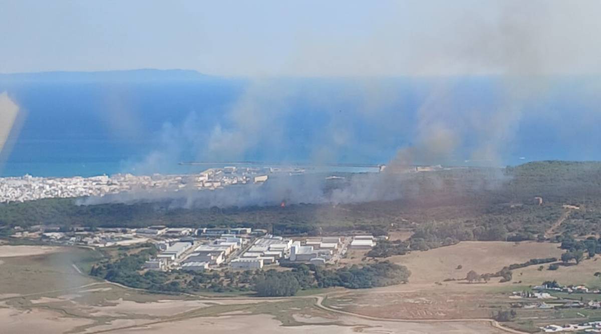 Vista aérea del fuego. - Vista aérea del fuego.