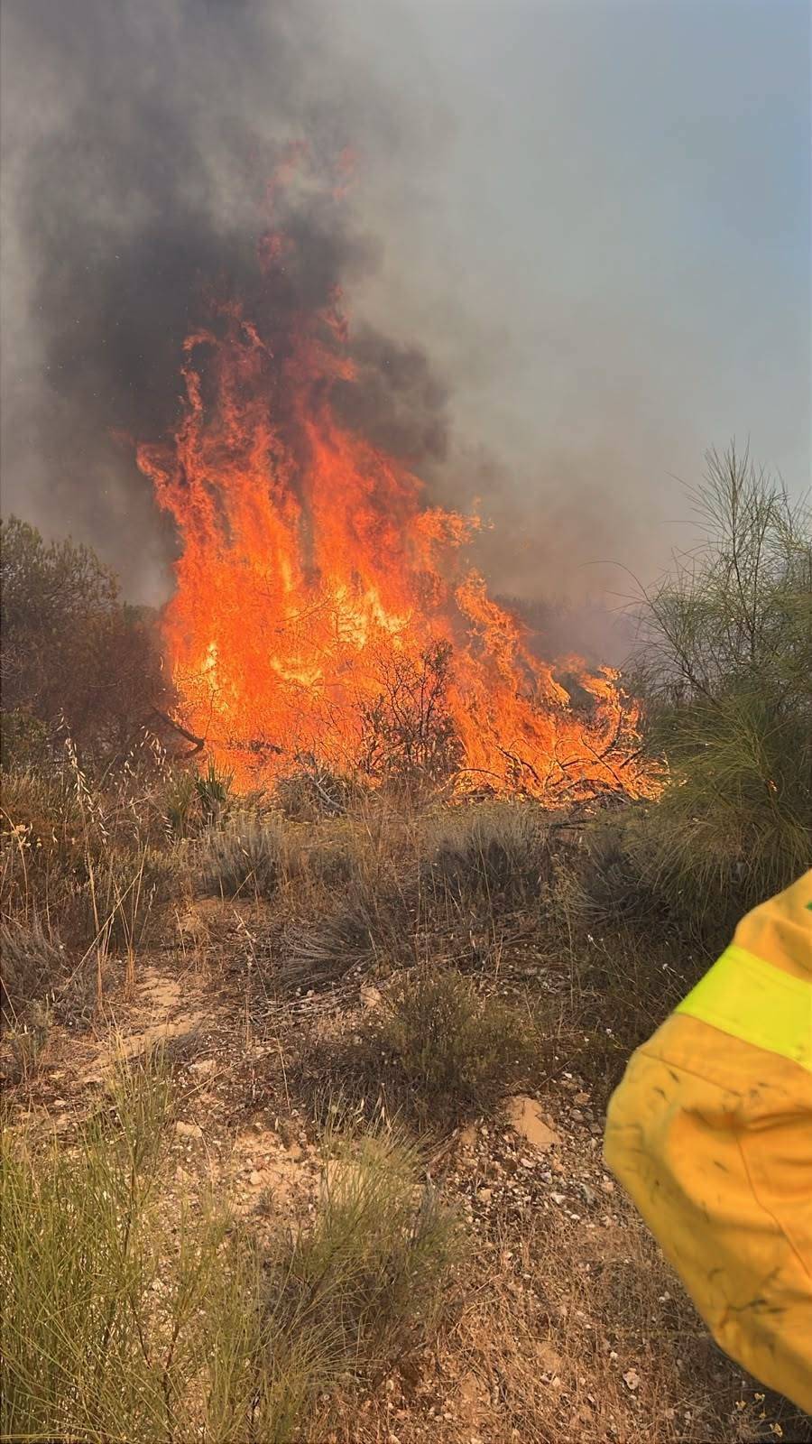 El fuego, de cerca. - El fuego, de cerca.