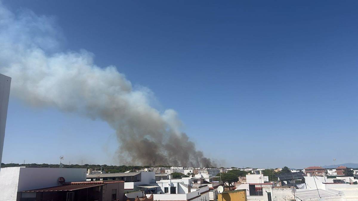 La columna de humo en Barbate. - La columna de humo en Barbate.