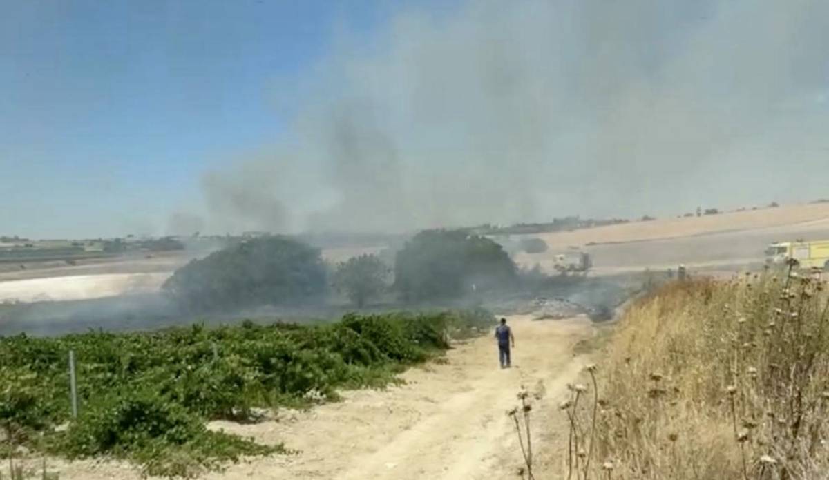 Un incendio en una viña del Grupo Estévez pone en alerta a vecinos de Estella del Marqués y Lomopardo en el Jerez rural