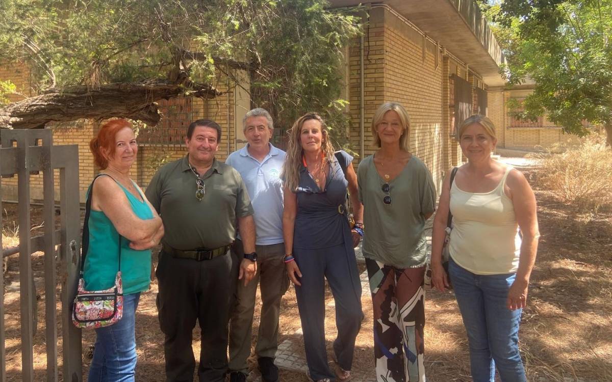 Jerez instala 60 casetas, una de ellas en el Alcázar, para mejorar las condiciones de las colonias felinas de la ciudad