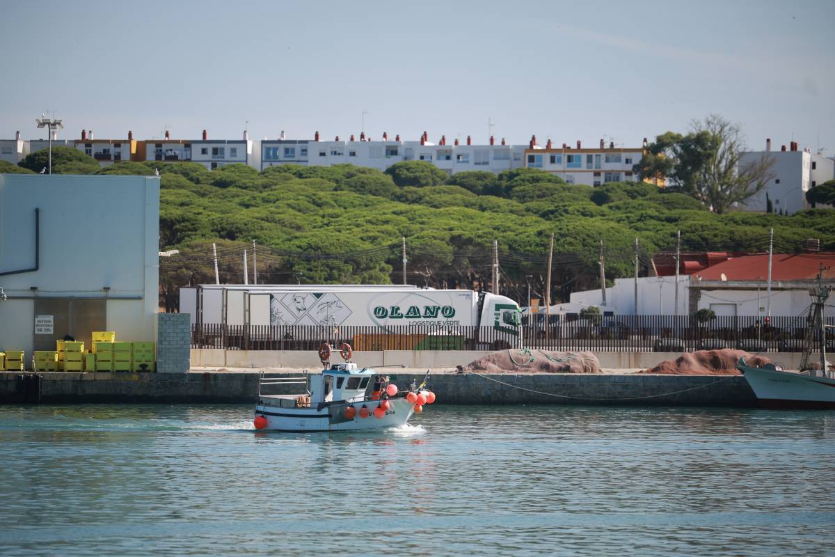 Asalta dos veces con un cuchillo la casa de una persona con movilidad reducida en Barbate: le roba la tele para cambiarla por droga