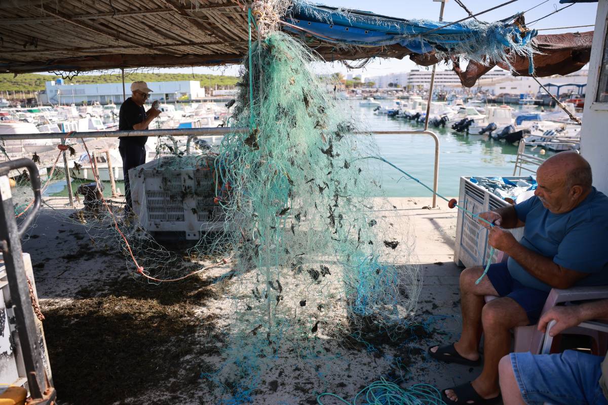 Pescadores y rederos puerto de Barbate, Alga asiática 