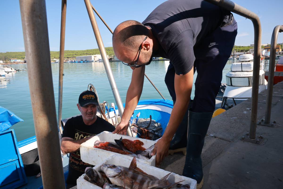 Pescadores y rederos puerto de Barbate, Alga asiática 