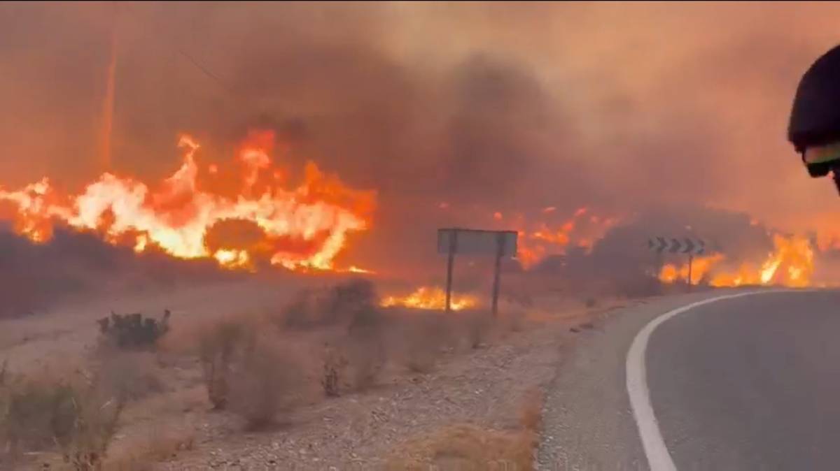 El número de fallecidos en el incendio de Almería asciende a 12 y hay 19 desaparecidos: 
