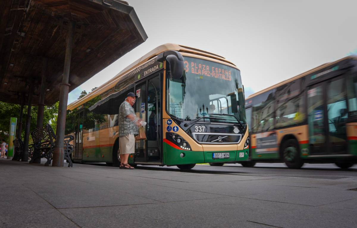 Cádiz aprueba la mayor transformación de su red de autobuses en décadas: más frecuencia y más líneas
