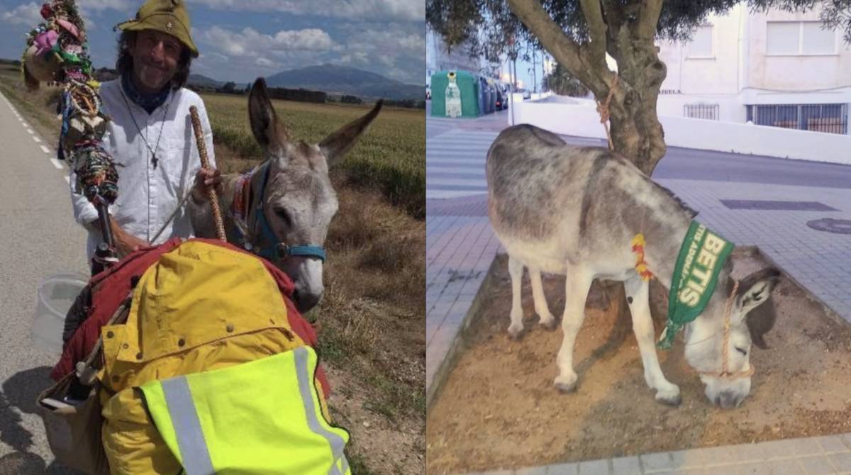 El peregrino más famoso de España y su burrito con bufanda del Betis sorprenden en Vejer