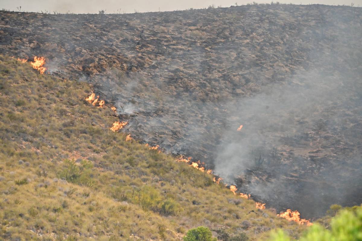 Endesa se desmarca del incendio de Almería: el cable señalado sería privado y 