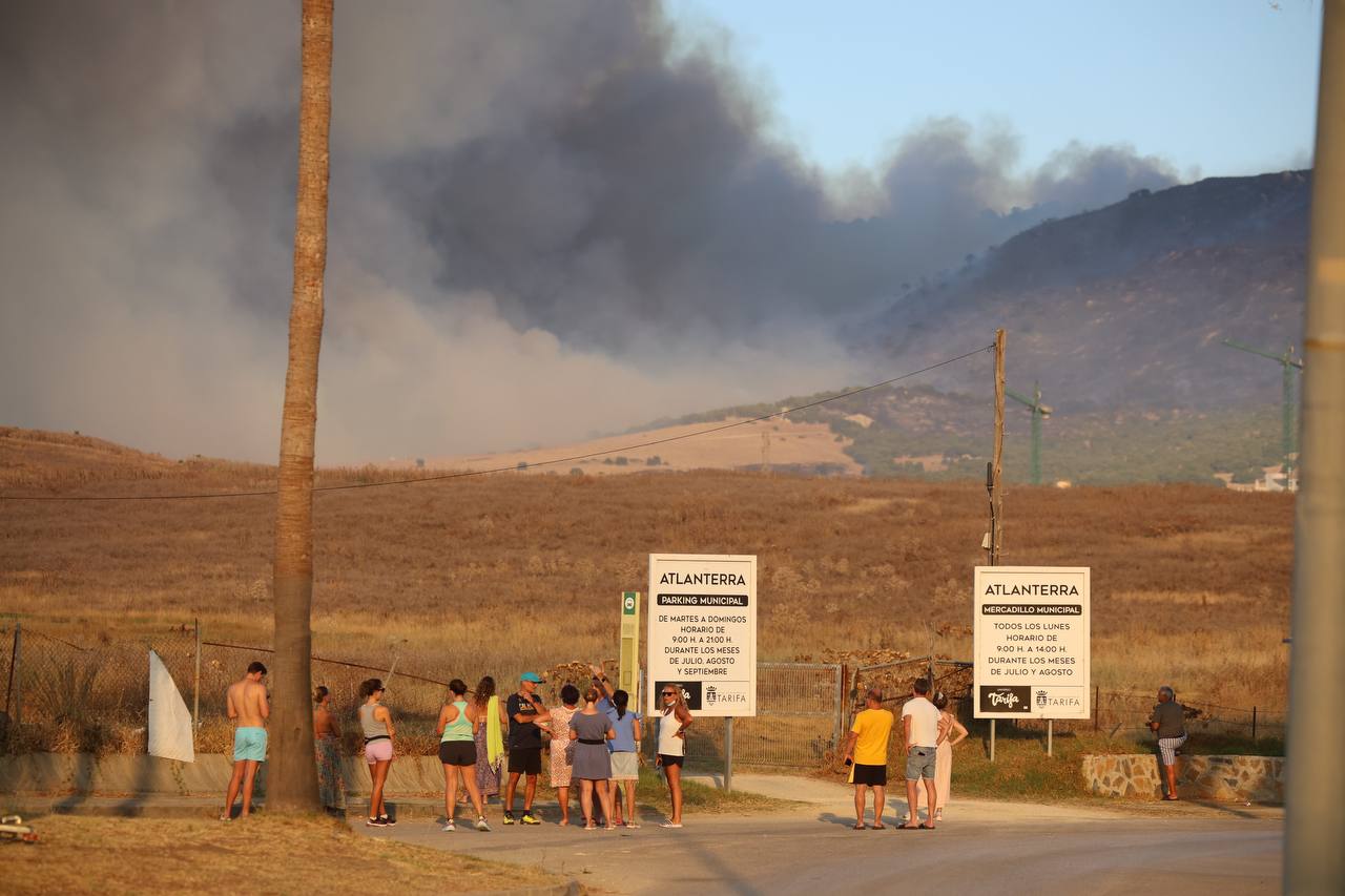 Los incendios de todos los veranos: ¿Y si se limpiaran (más) los bosques?