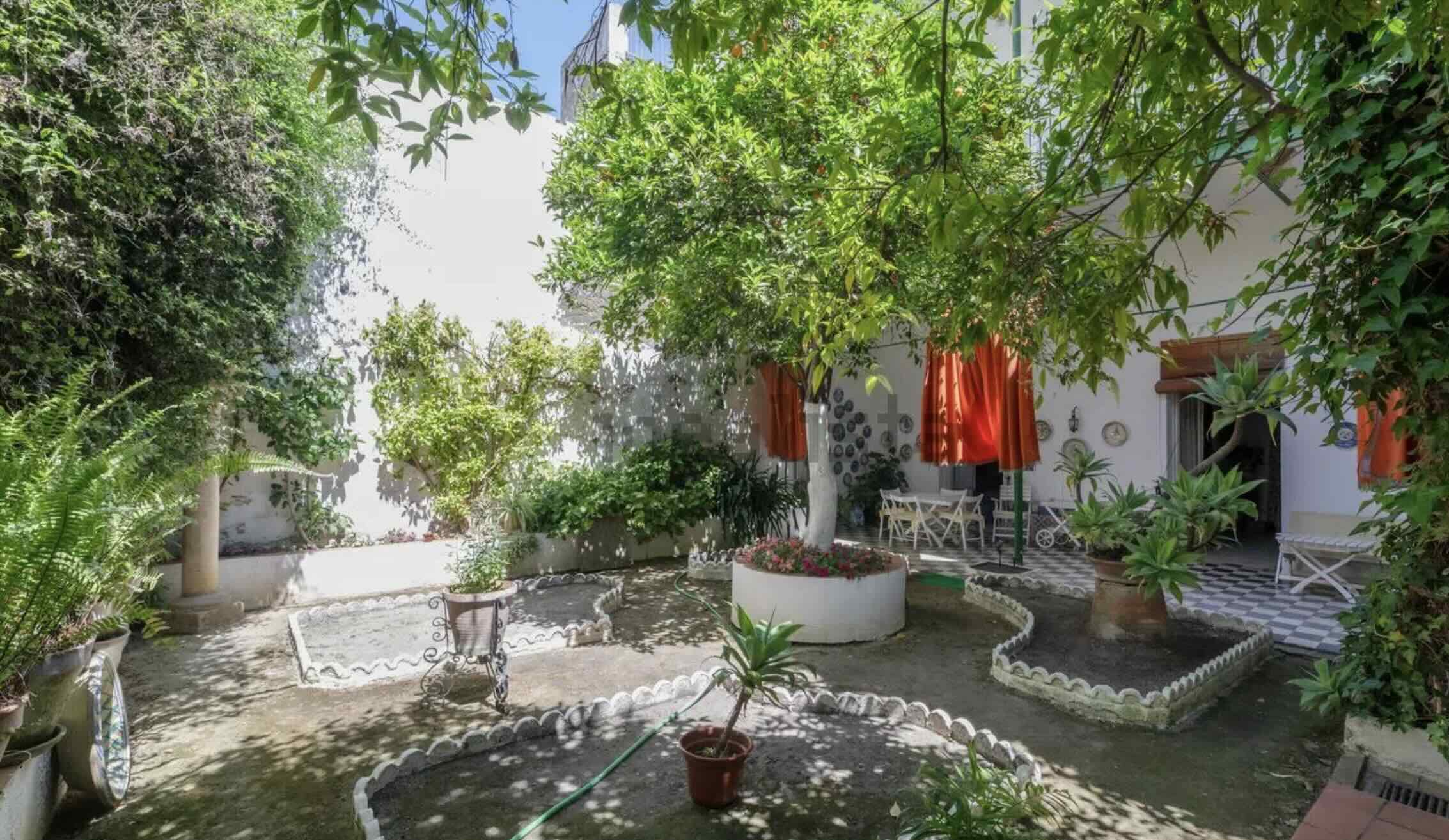 Vista del frondoso jardín de la casa señorial en plena calle Caballeros en Jerez, en una imagen en el portal Idealista.  - 