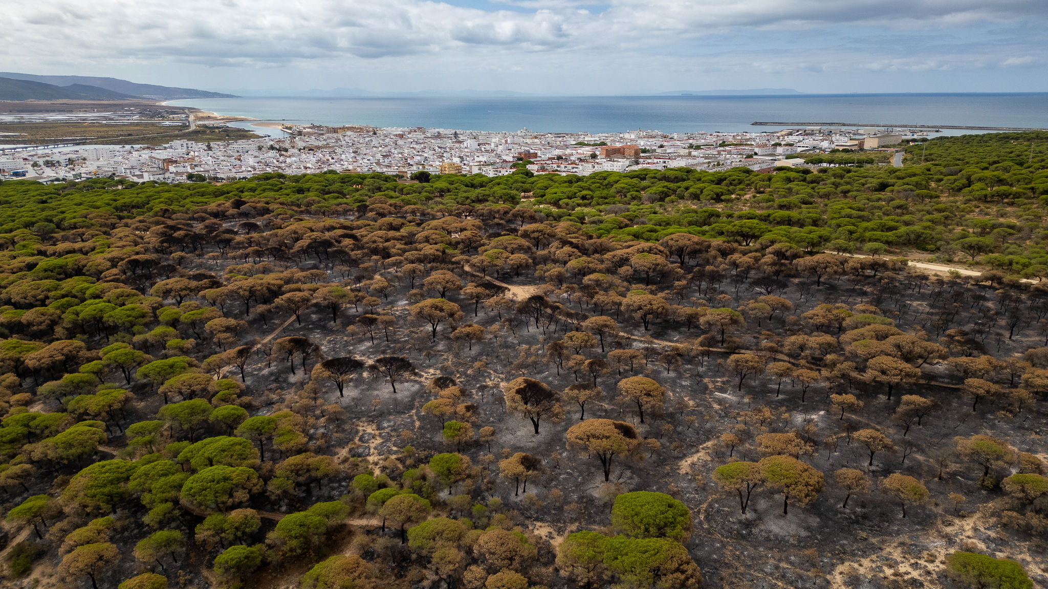 Incendio Barbate - JUAN CARLOS TORO Incendio Barbate