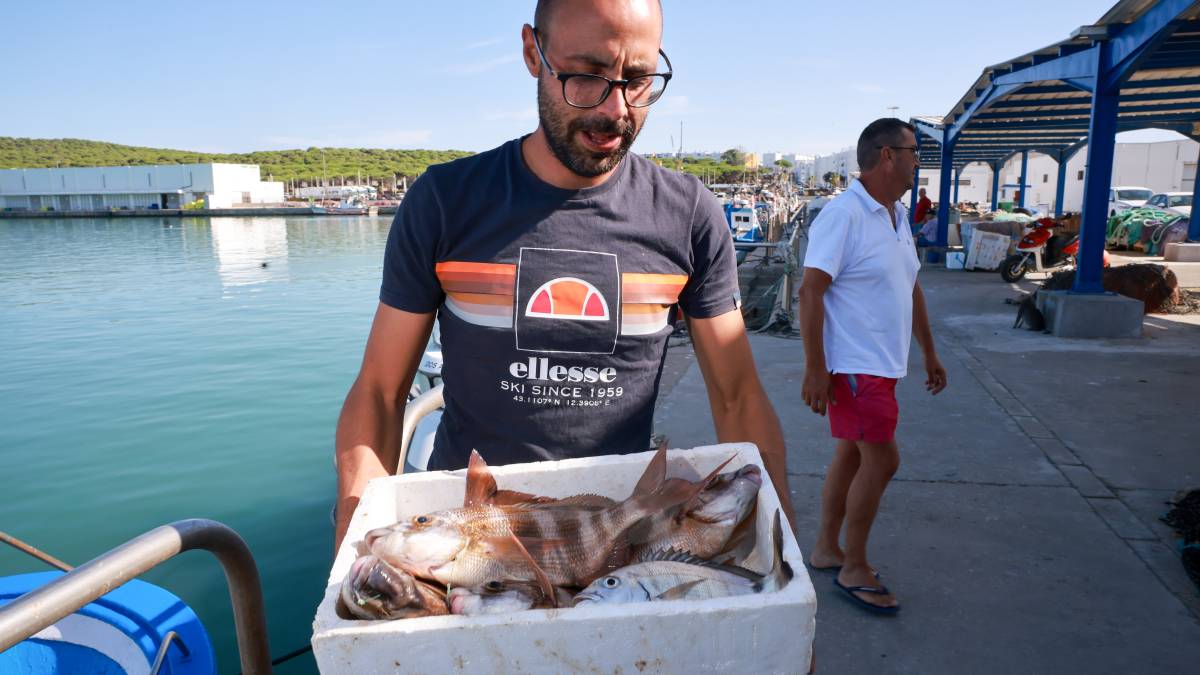 La pesca de Barbate, tocada y…