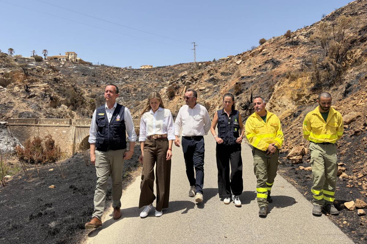 El Gobierno asumirá el 50% de la reforestación del incendio de Almería y pide un Pacto de Estado frente a la emergencia climática