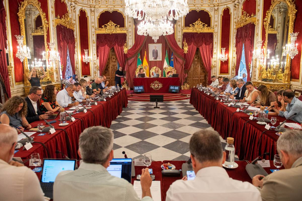 Pleno de la Diputación de Cádiz este miércoles 15 de julio.