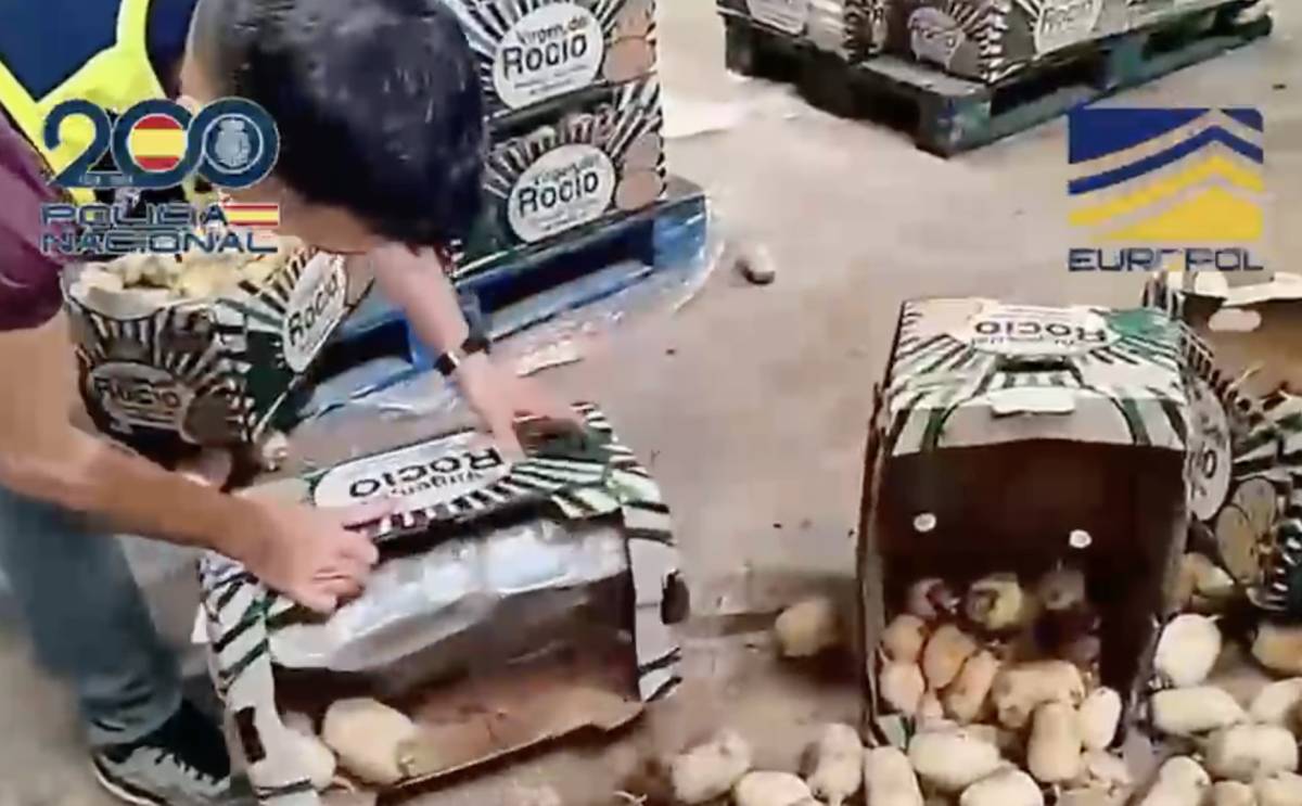 400 kilos de cogollos de marihuana en cajas de papas de Sanlúcar: cargaban en una nave de Jerez