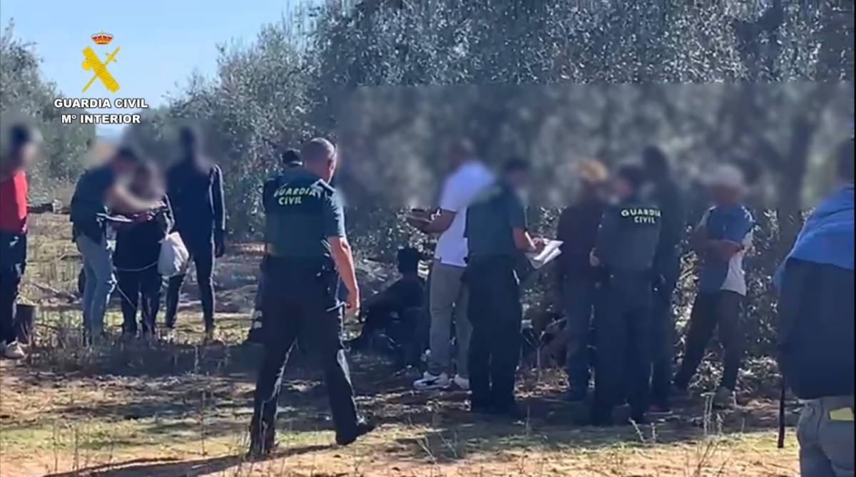 Explotación en el campo sevillano: un empresario amenazaba a migrantes con perros peligrosos para que no reclamaran el sueldo