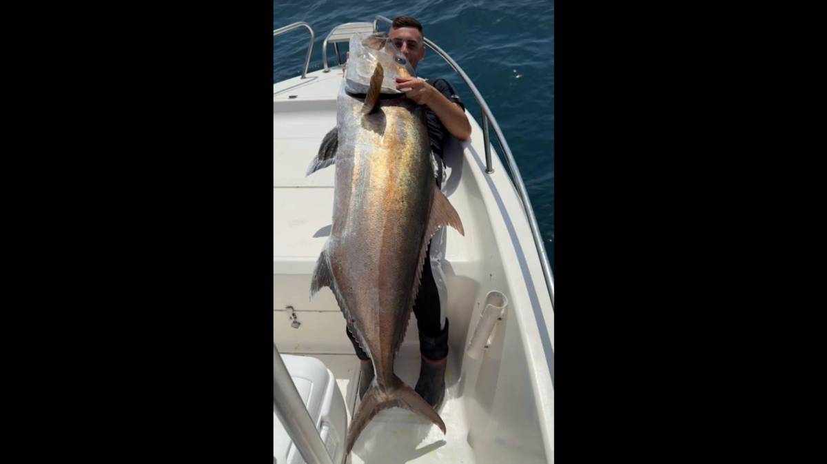 Una 'pelea' de altura frente a Barbate: así ha sido la captura de un pez limón de 45 kilos desde una pequeña embarcación