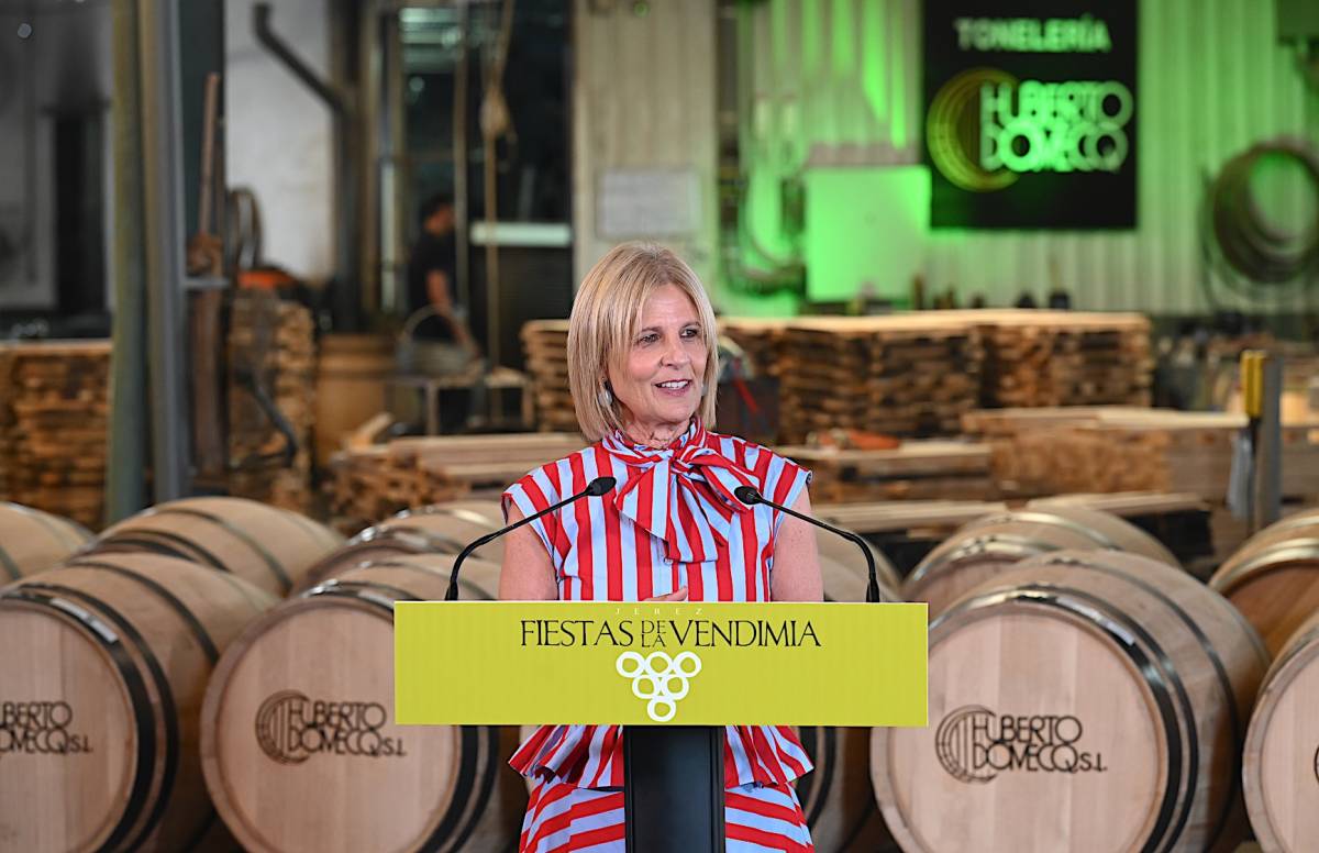 La alcaldesa, este viernes, en rueda de prensa. - La alcaldesa, este viernes, en rueda de prensa.