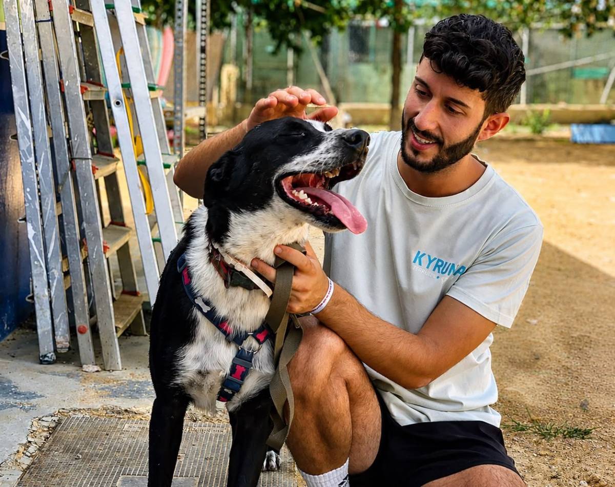 Ya es oficial: hay más perros y gatos que niños en un país que los mima como a miembros de la familia