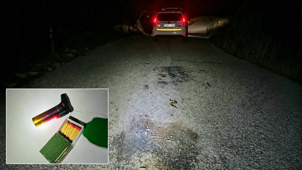 Pillados dos menores metiendo fuego al monte en Málaga gracias a un dron con cámara térmica