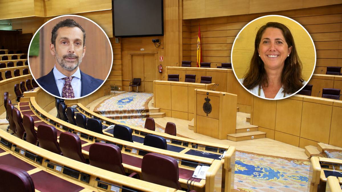 Vox designa a Álvaro Zancajo y María Pastor como sus senadores por Andalucía