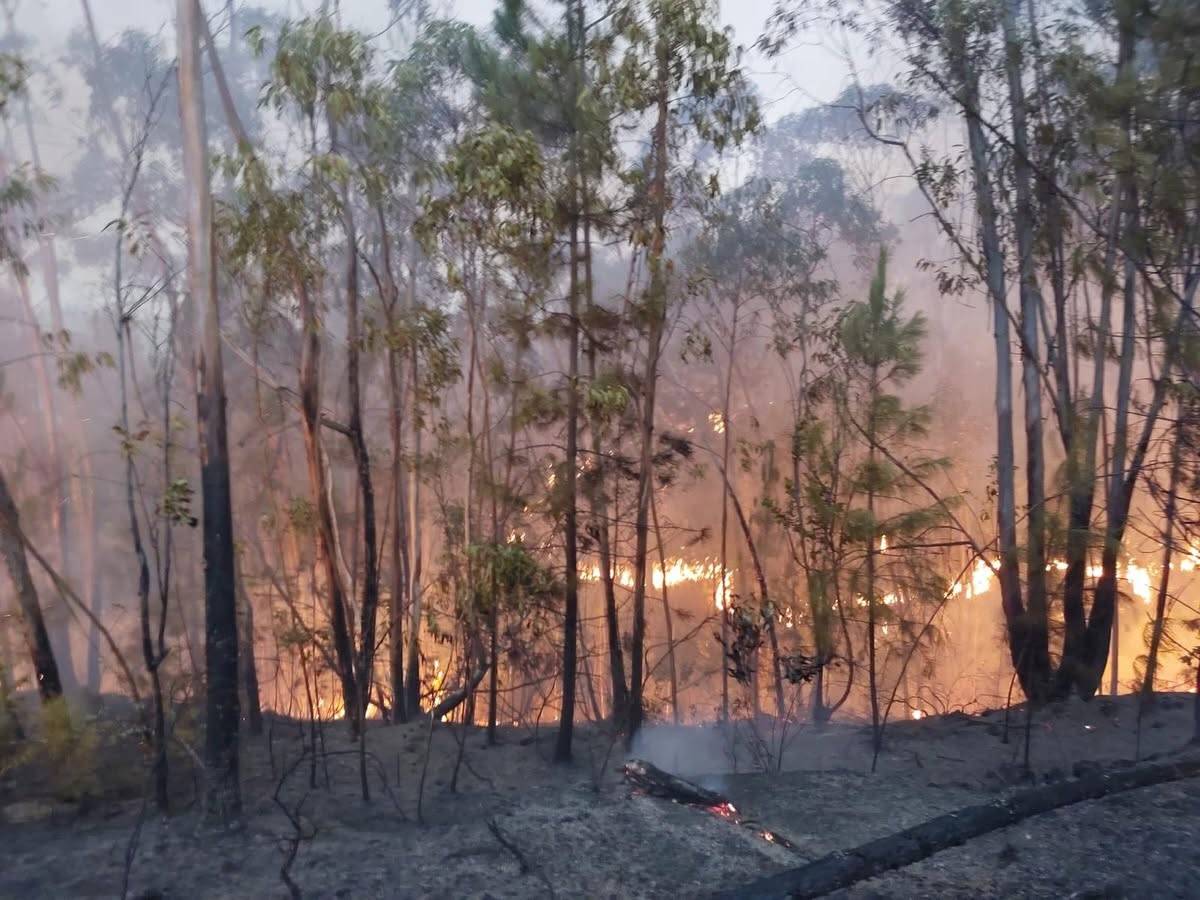Un gran incendio obliga a desalojar a cerca de 300 vecinos de aldeas de Huelva: activada la fase de emergencia 1