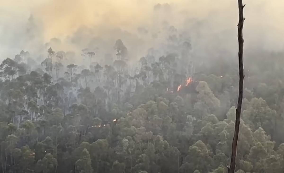 Declarado otro incendio forestal en Huelva mientras un centenar de bomberos trabaja en Almonaster la Real
